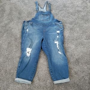 Overalls Torrid plus size
